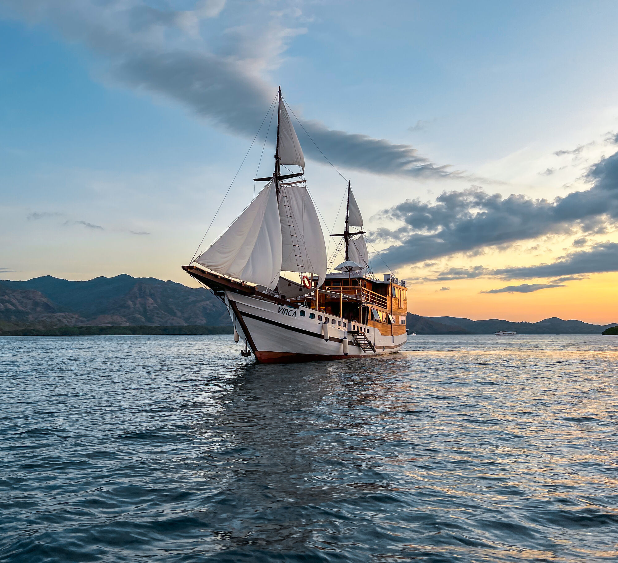 Vinca Voyage