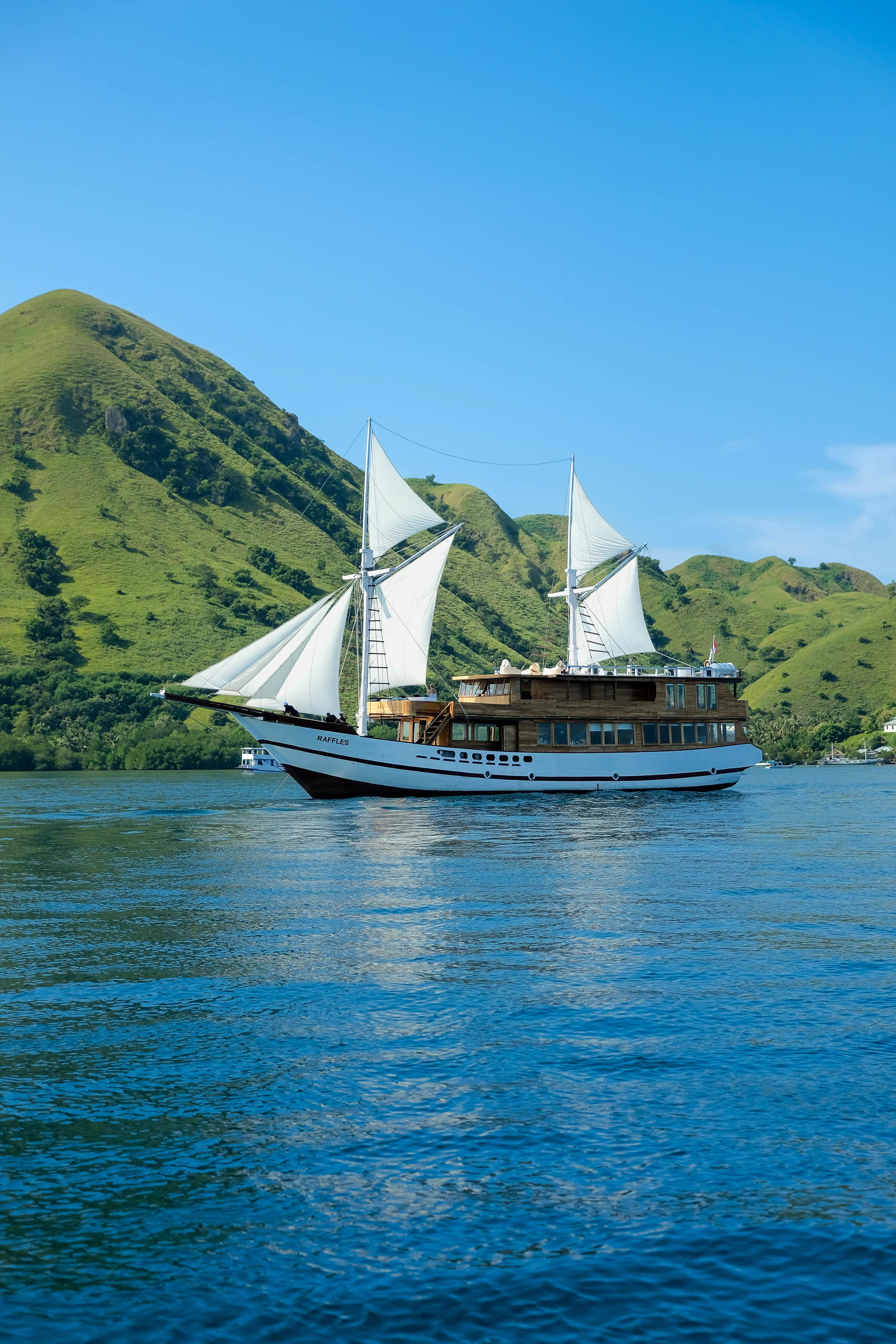 Raffles Cruise